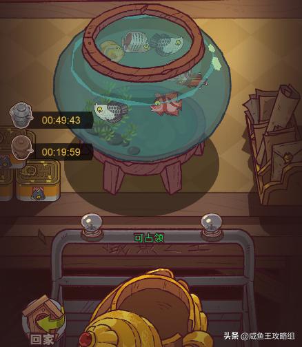 咸鱼之王白嫖招募令攻略,咸鱼之王白嫖金鱼攒金砖宝箱攻略