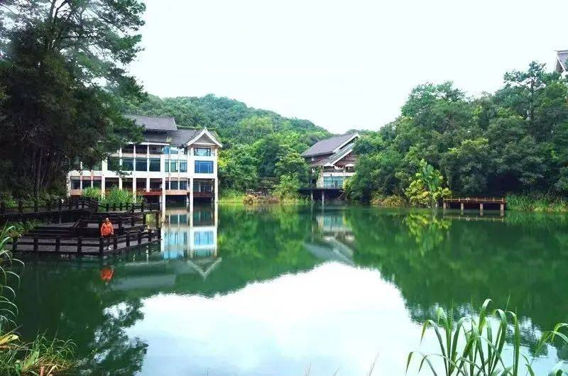 鏅幢涓栫晫鑼舵簮,澶╄祼鏅幢涓栫晫鑼舵簮