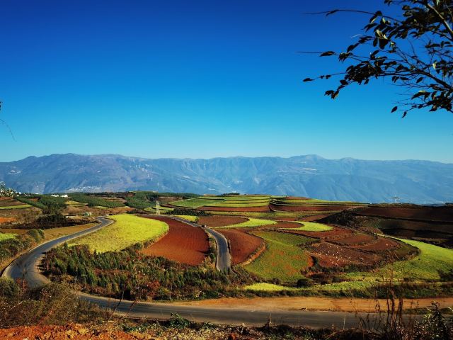 云南旅游攻略昆明旅游攻略,云南昆明旅游攻略