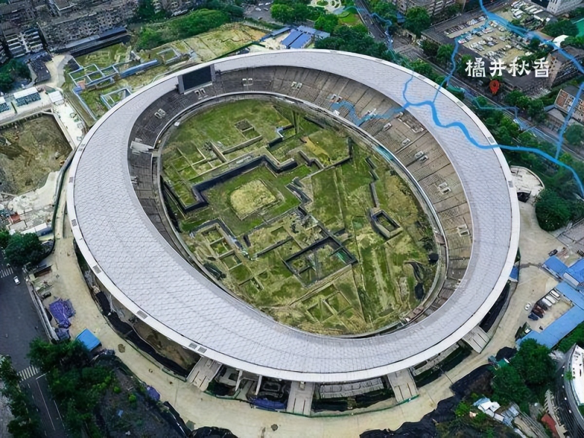 水井坊1号菌群,水井坊一号