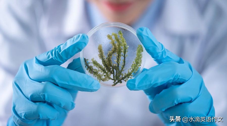 环境保护作文结尾新颖,范文环境描写