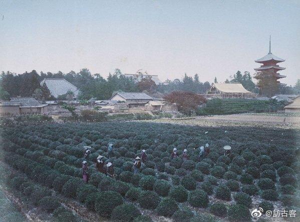 日军日记：路遇逃难的女学生，我将她的腿骨做成了锋利的*刀刺**!