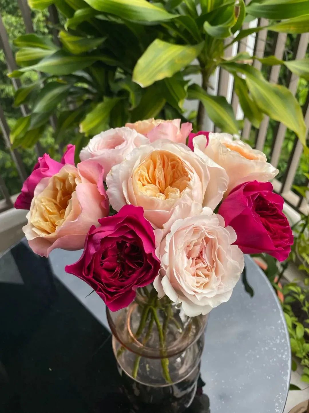 鲜花在水里能养几天会死,新加坡盆栽花卉怎么养