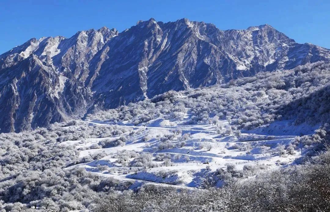 离乐山最近的滑雪场,乐山滑雪温泉