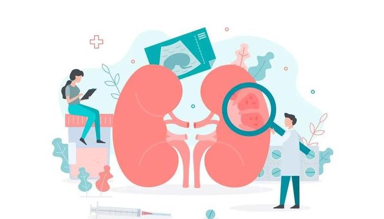 尿毒症晚期吃不下饭是什么原因,尿毒症流鼻血是什么原因引起的