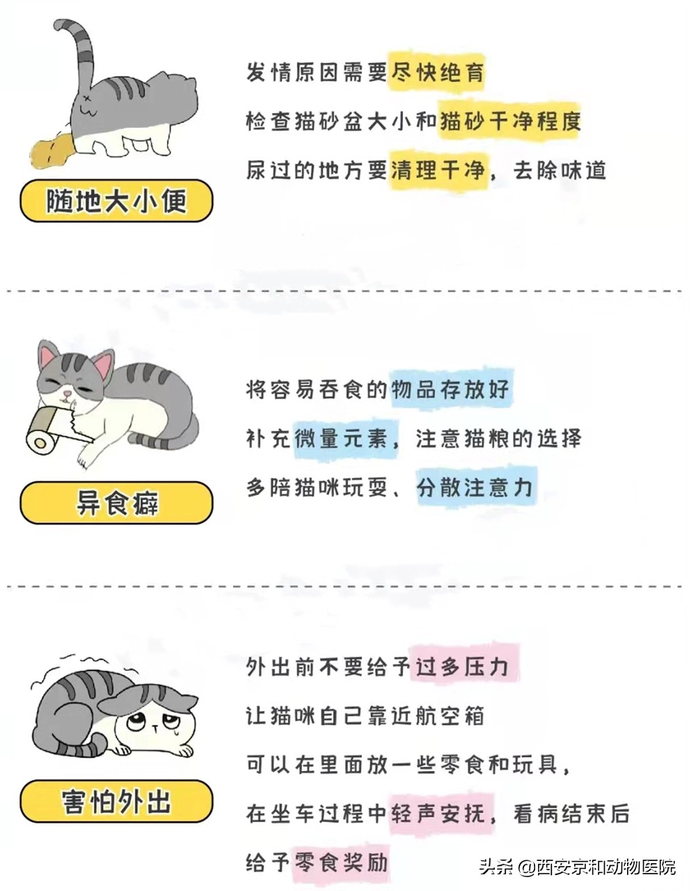 猫咪社会化训练方法快点学起来,猫咪社会化训练多久洗一场澡