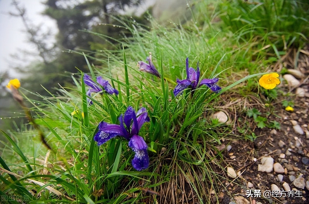 感冒怎样治疗才好得快,如何用最好的方法快速治愈感冒