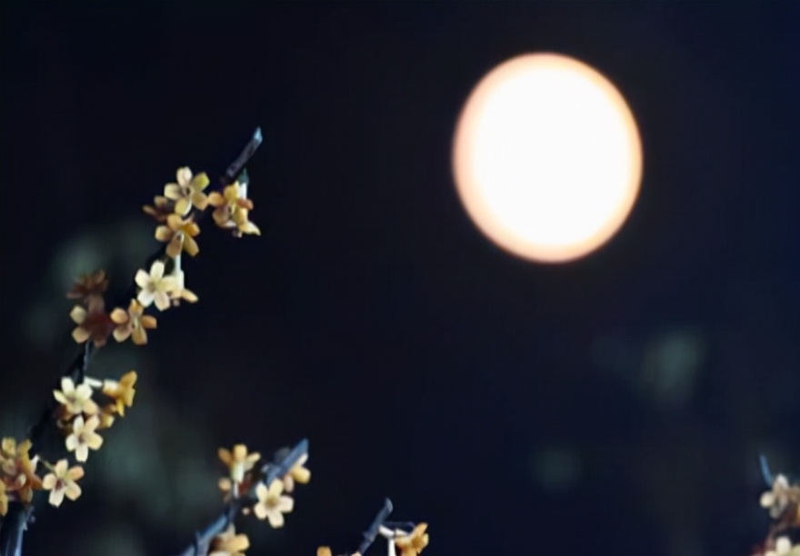 关于春天的古诗有图有诗意,唐诗三百首关于春的诗句及赏析