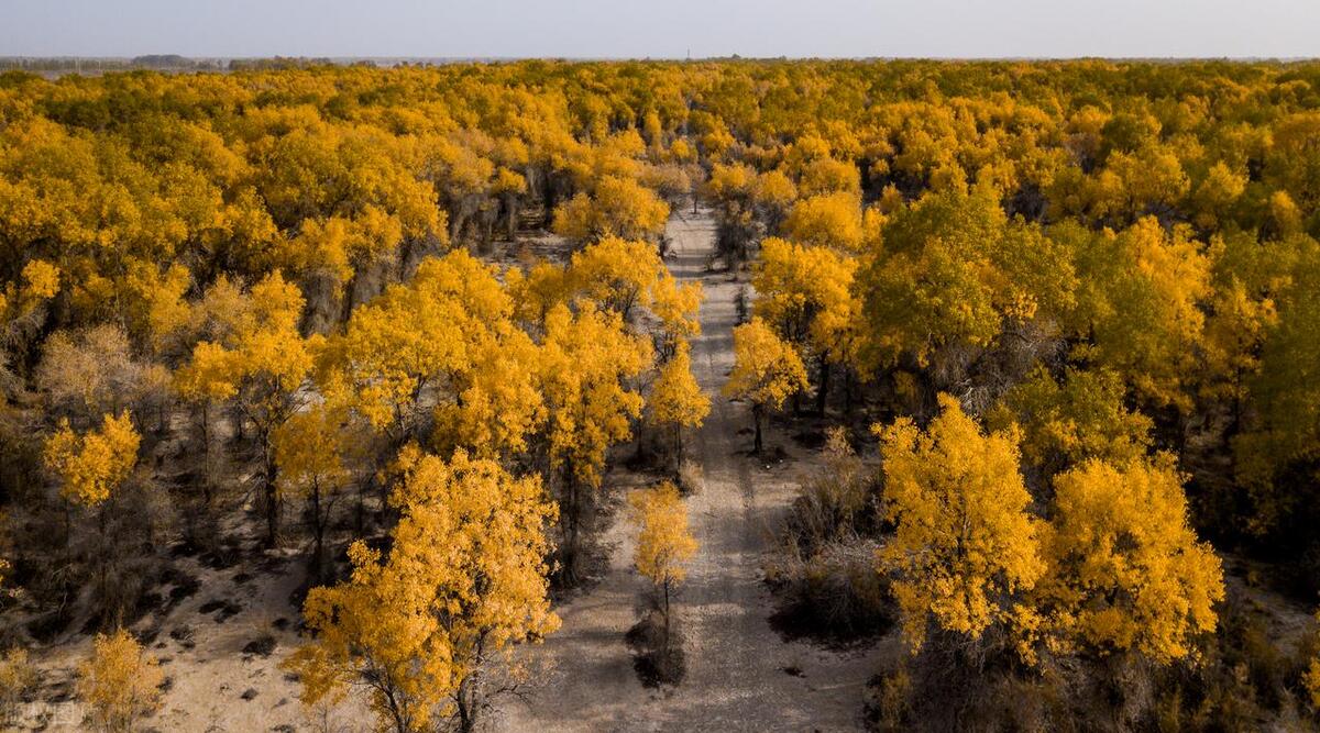 10月份适合出游的地方,最适合一个人旅行的10个漫游地