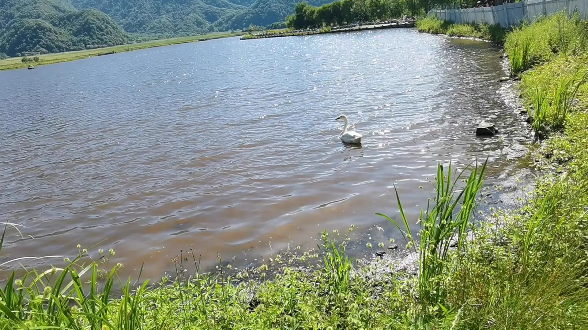 神农顶大九湖一日游价格,神农顶大九湖一日游