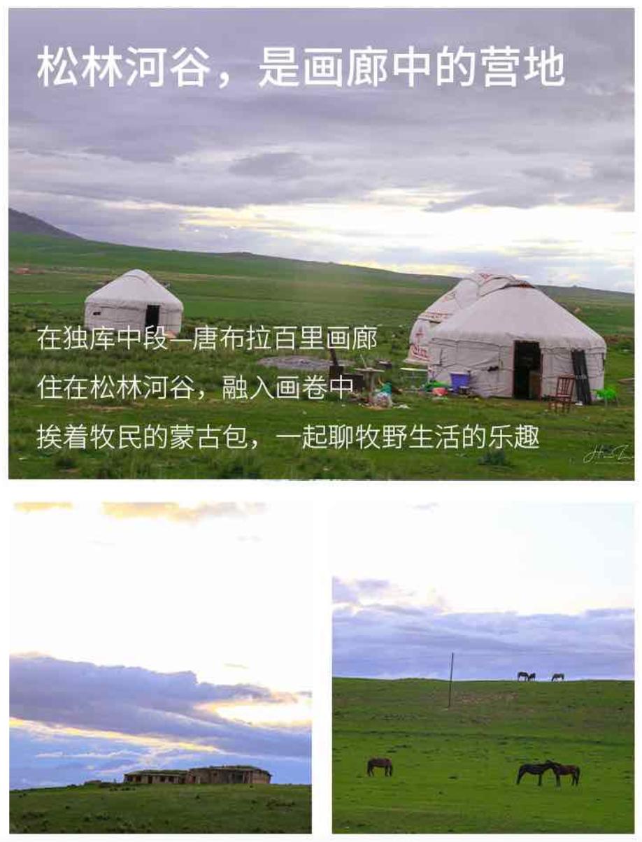 来新疆一定要避开的坑,新疆旅行一定要看的避坑建议