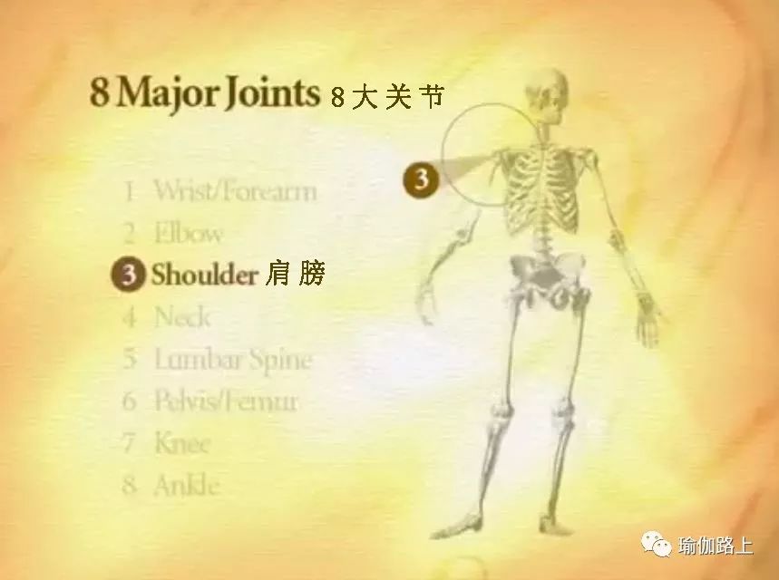 练瑜伽半年怎么走向高阶体式,练瑜伽我们不需要追求高难度体式