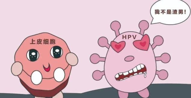 hpv58高危阳性是怎么回事,高危型hpv58阳性什么意思