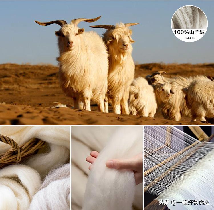 羊绒围巾排行第一,羊绒围巾十大品牌2022