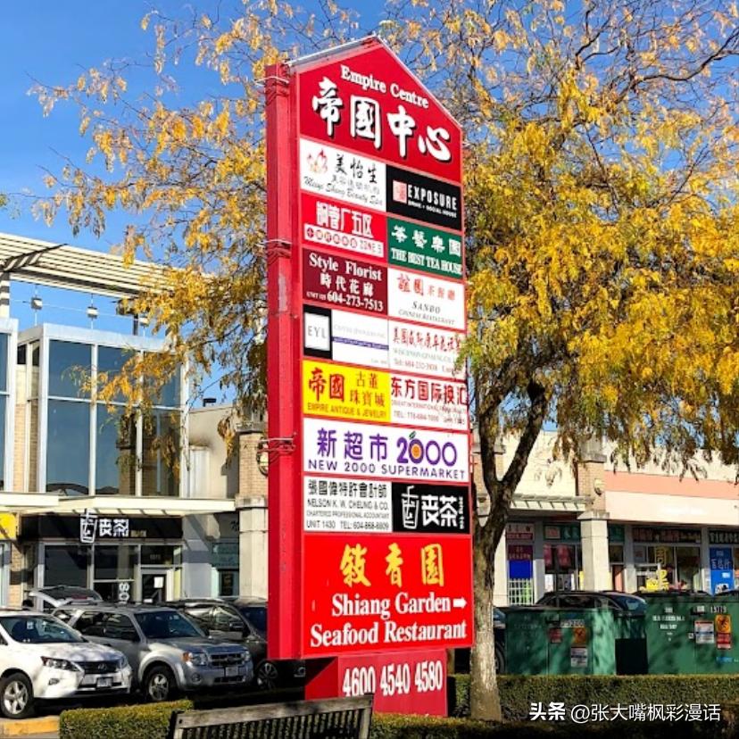 加拿大官宣：普通话成为第一大非官方语言