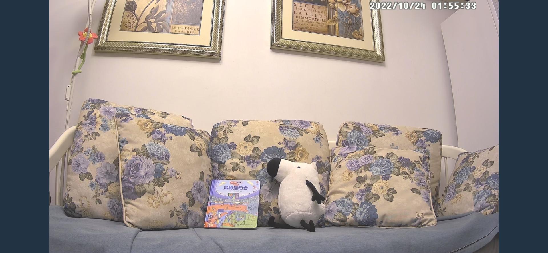 最新家用摄像头功能介绍,家用摄像头安全性排名