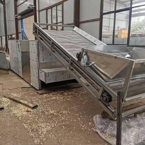 网带式大蒜烘干机,网带式蒜片蔬菜烘干机报价