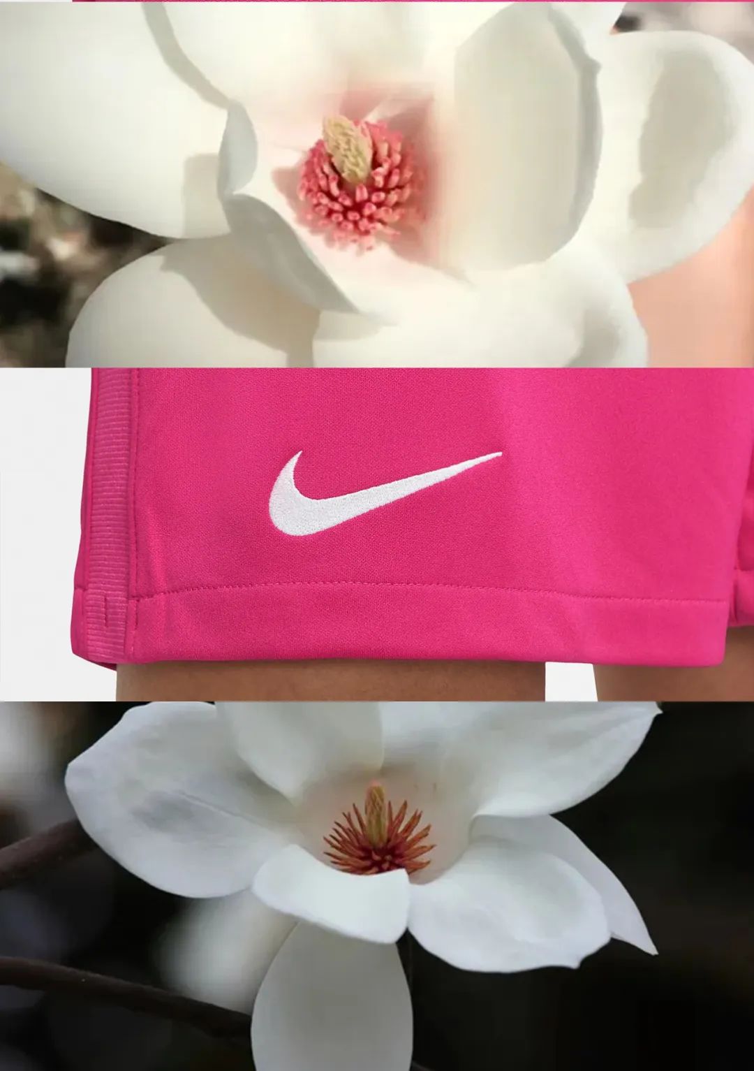 申花球衣最新款,申花最新款球衣是哪一款