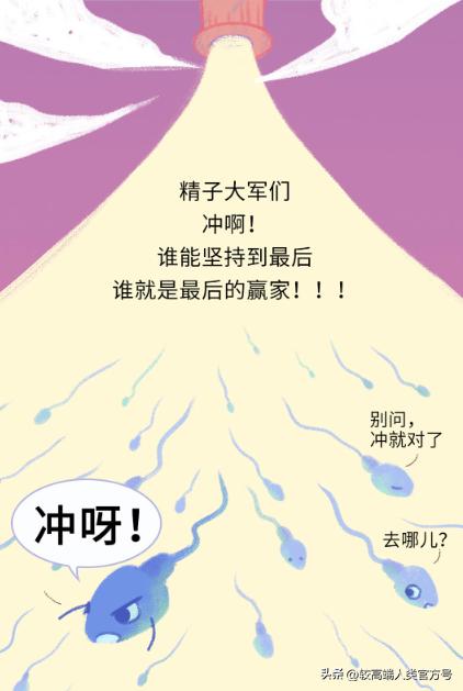 “一夜情”怀孕的几率有多大？男人该如何判断孩子是不是我的？