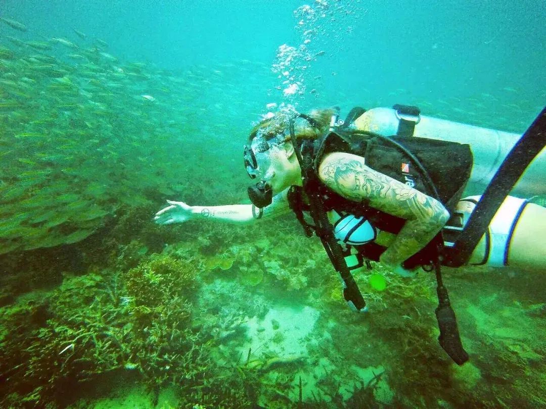 涓浗djtop50,djtop50涓浗