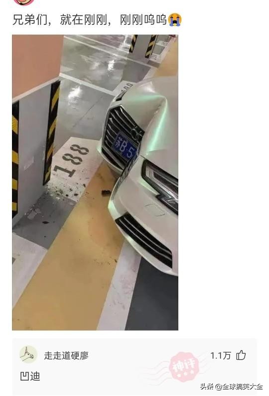 02年的老阿姨神回复,阿姨级别神回复