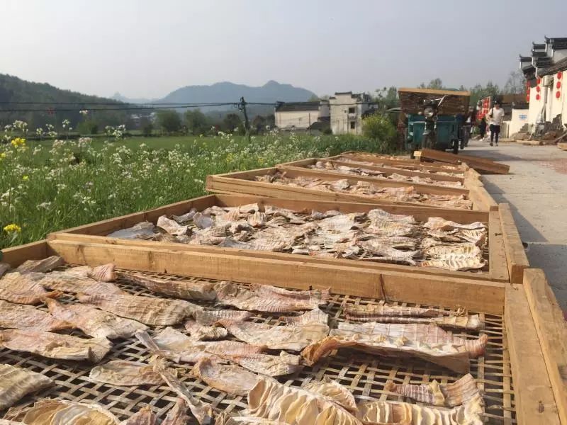 来宏村玩什么,来宏村