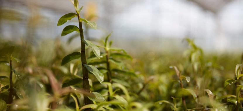 植然方适护肤品套盒价格,植然方适仙草修护水价位