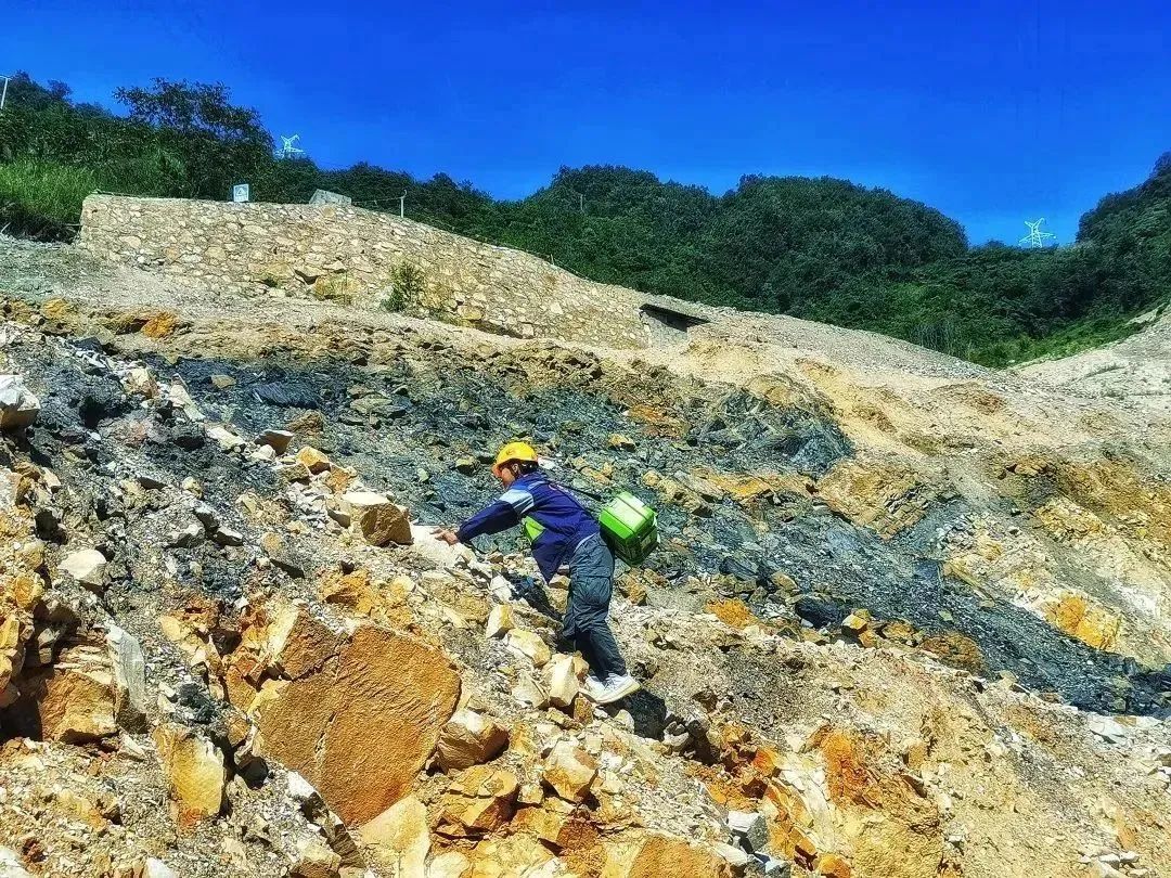 悬念揭晓在即,悬念揭晓视频