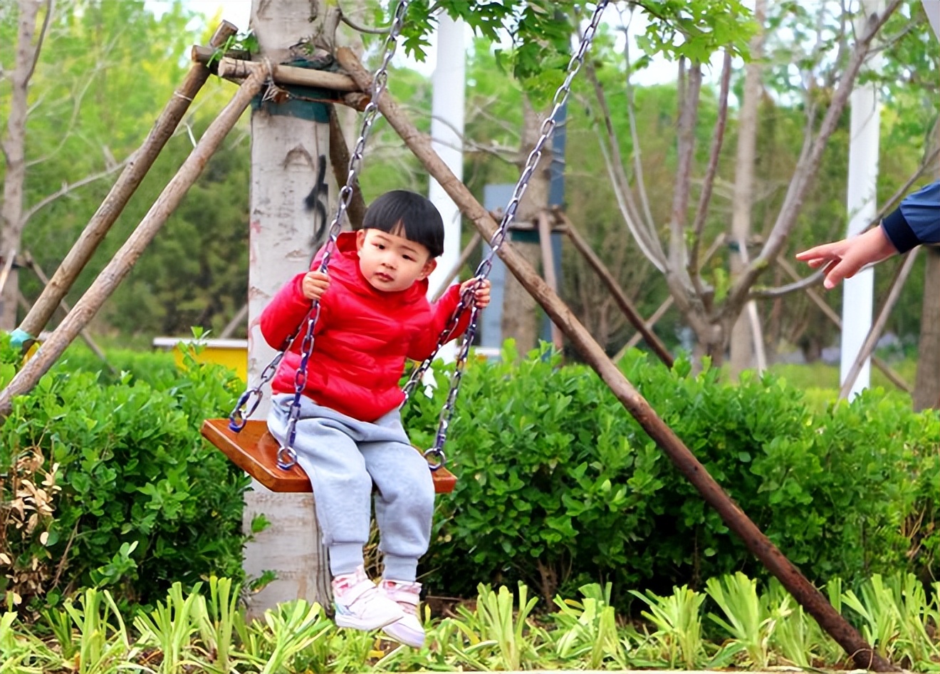 跟着小易去露营,跟着小易去旅行