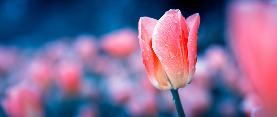 女人怎样才算爱自己,女人真正的对自己好是怎样的