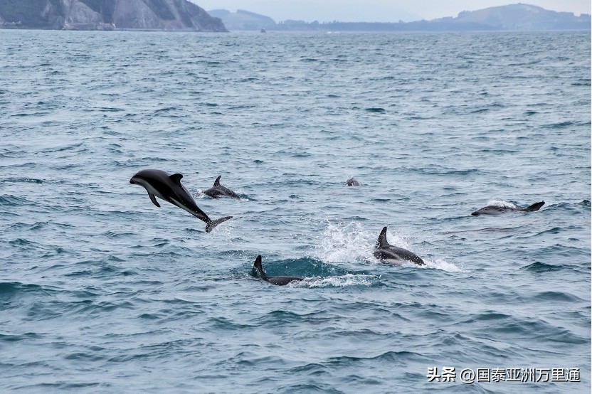 一年四季绝美风景 (关于季节性的旅游景观)