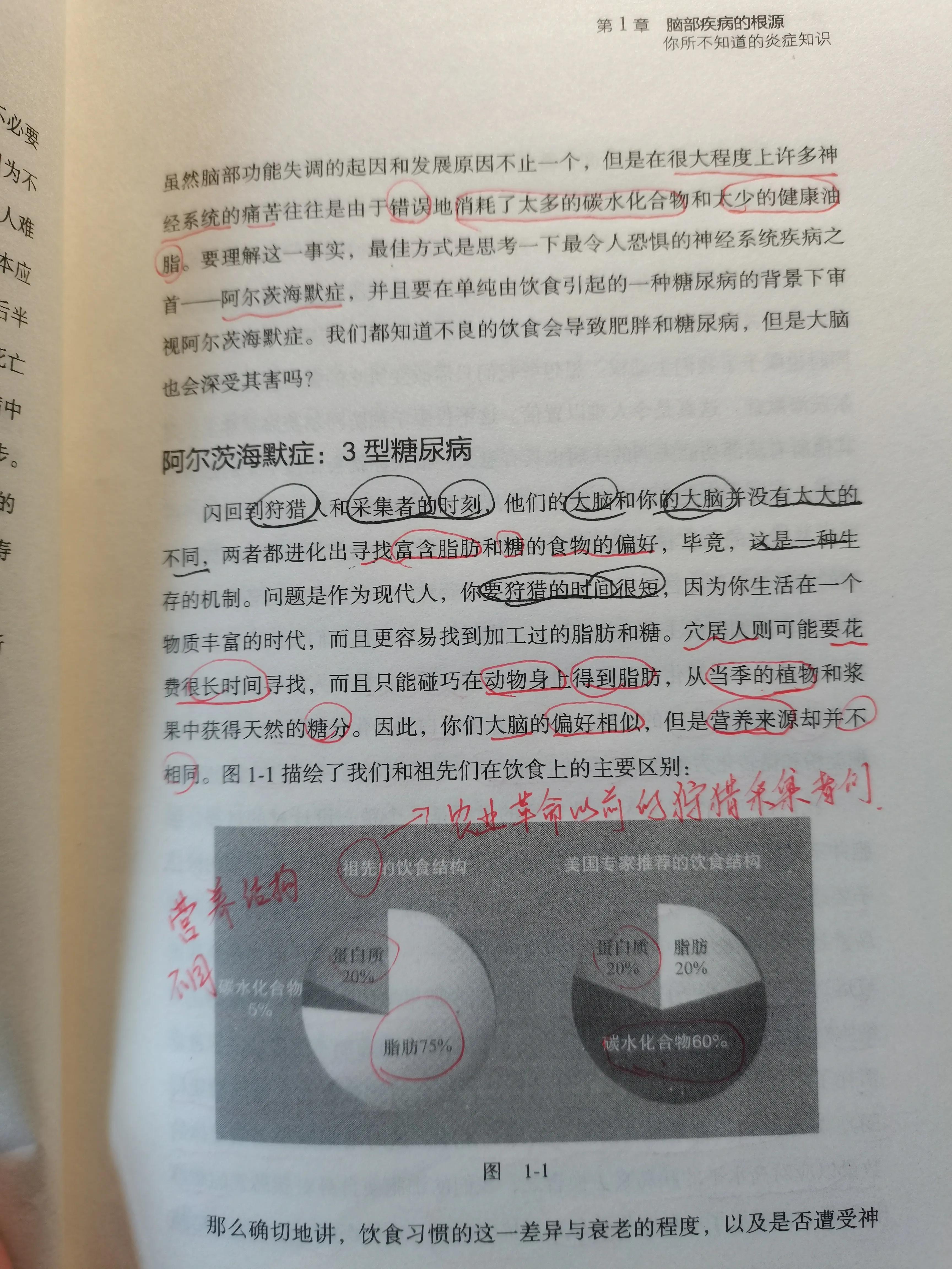 谷物大脑具备权威性吗,谷物大脑有人看过吗