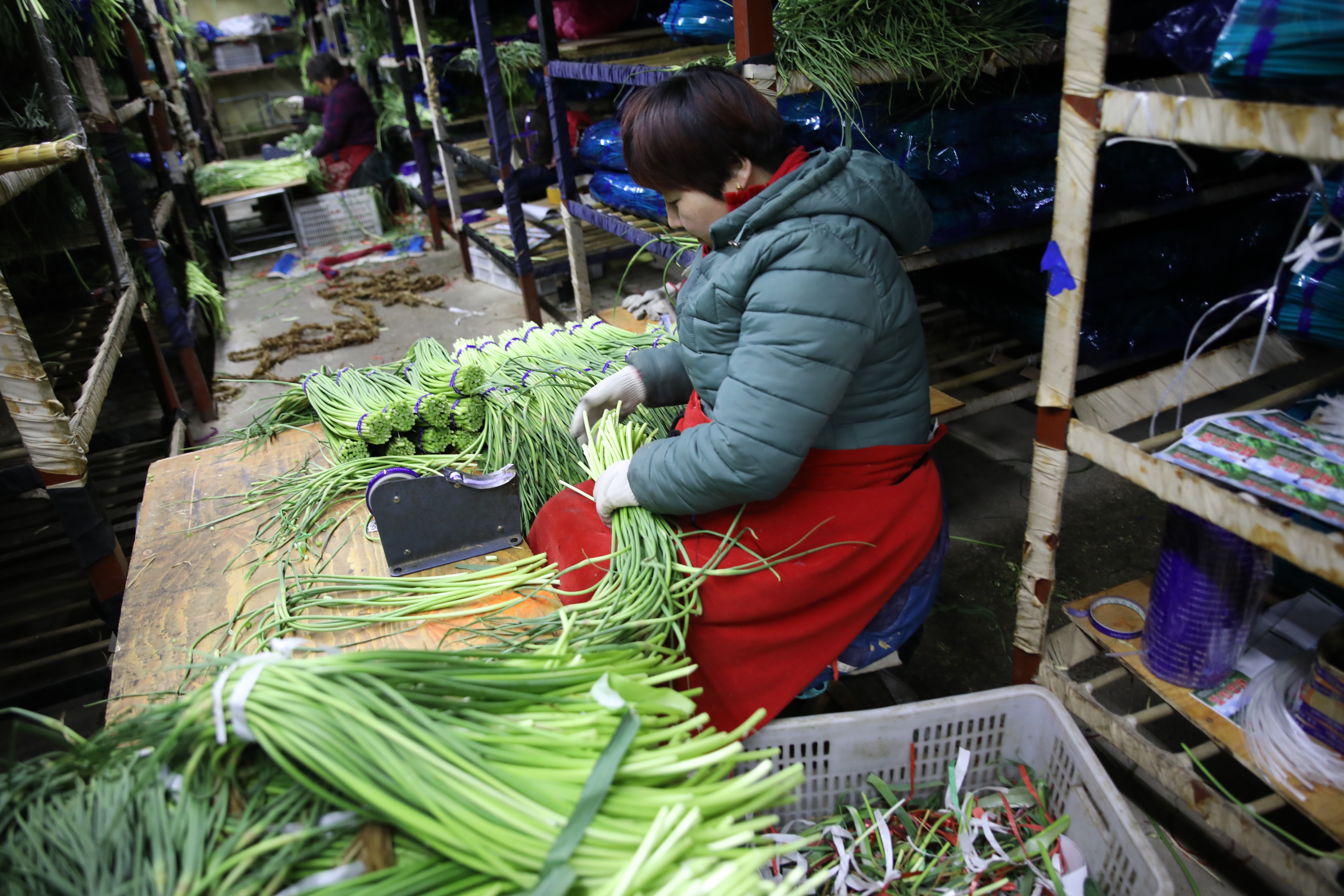 农商银行特色农业产业贷款,邮储银行乡村振兴助农贷款简报