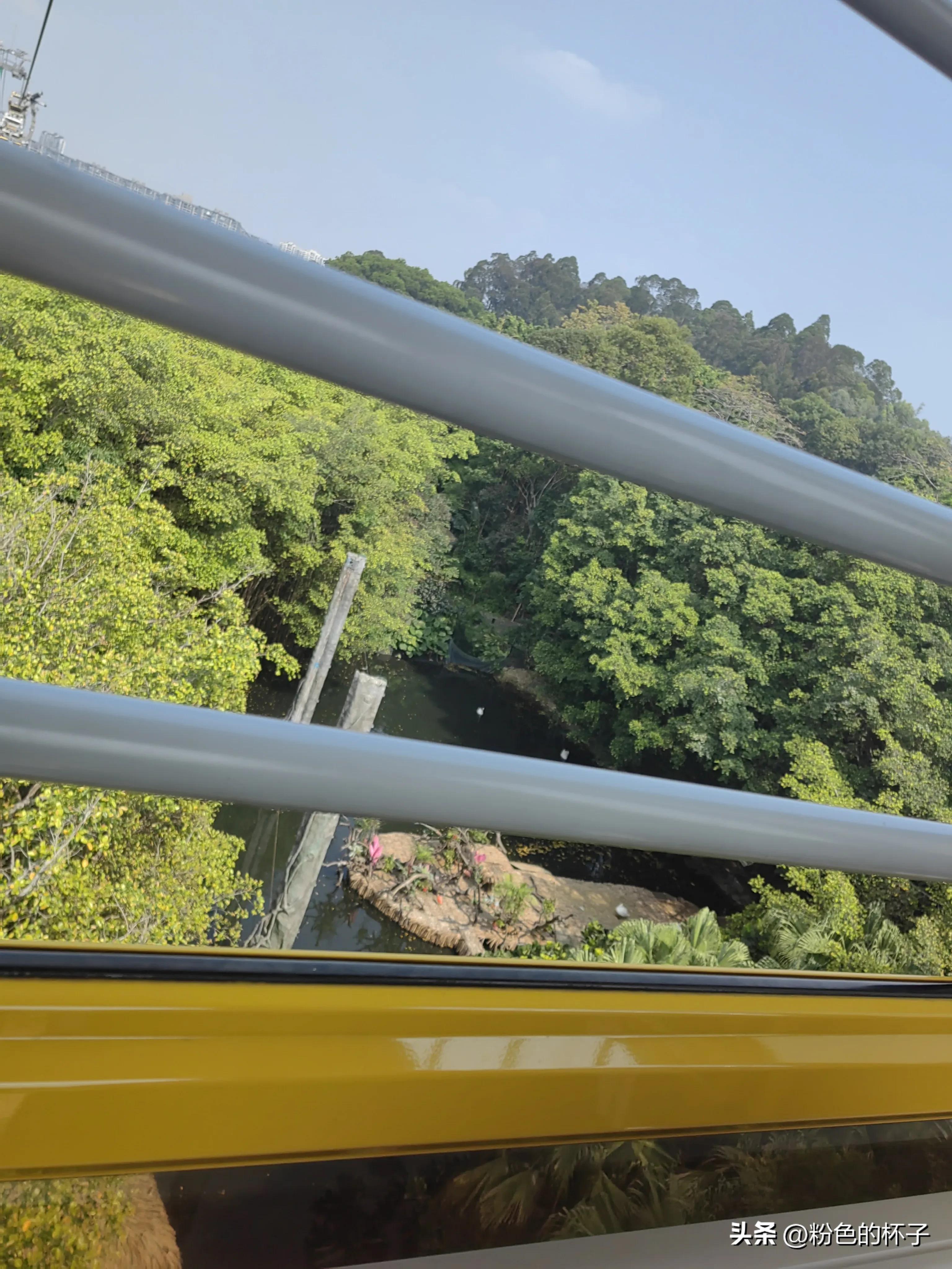 长隆野生动物园旅游攻略费用,长隆野生动物园开车进去攻略