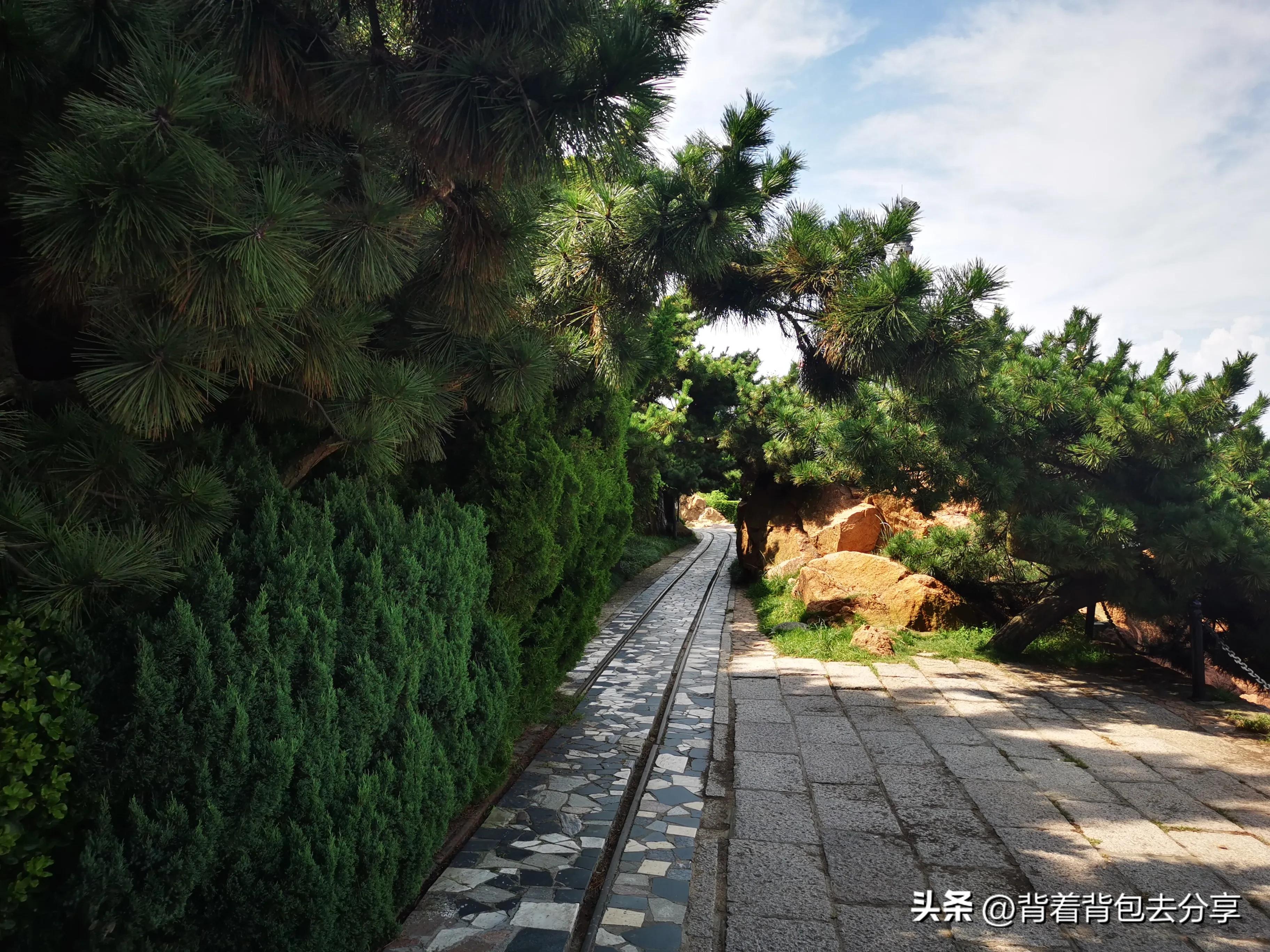 青岛旅游三天自由行攻略最新篇章,青岛最实用的旅游攻略