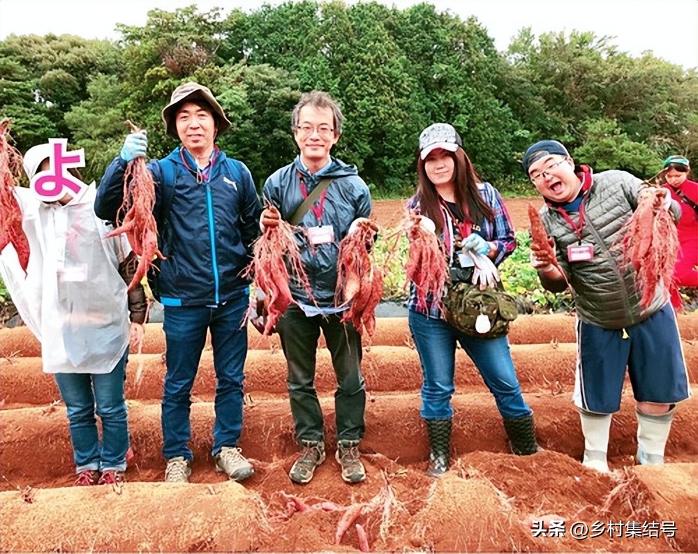 日本红薯国家农业公园地址,日本乡村公园