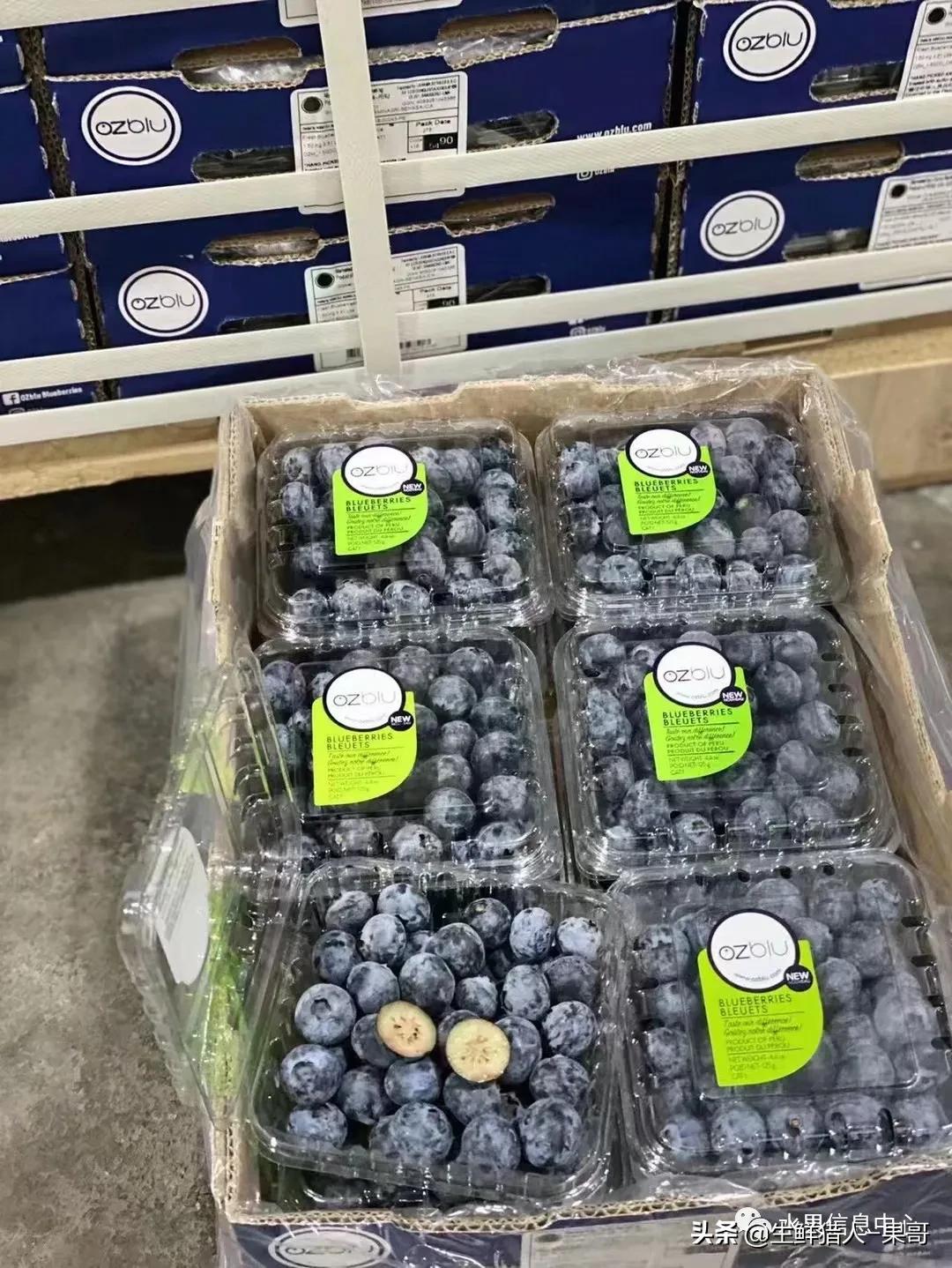 在水果中浆果是分哪几种,水果分类浆果