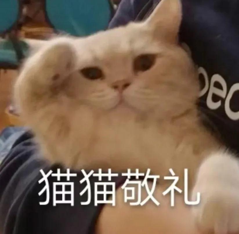 轻轻敲醒沉睡的心灵表情包全套,表情包轻轻敲醒沉睡的心灵全套