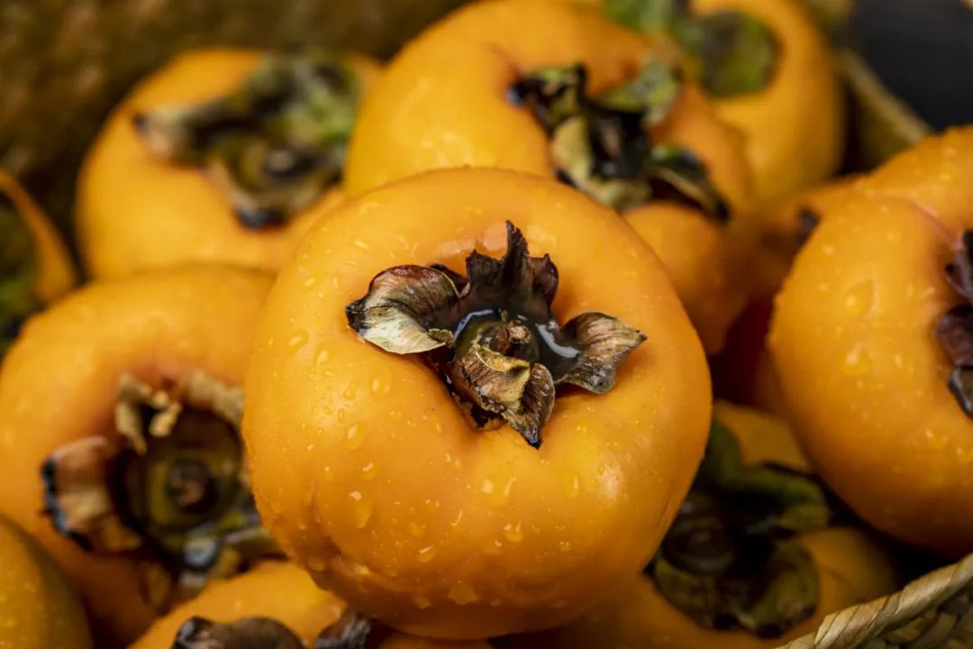 柿子树嫁接视频,柿子树修剪的正确方法