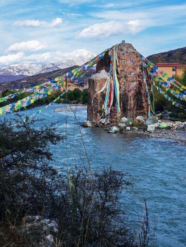 微生物菌群最新研究进展,一号菌群科研新成果