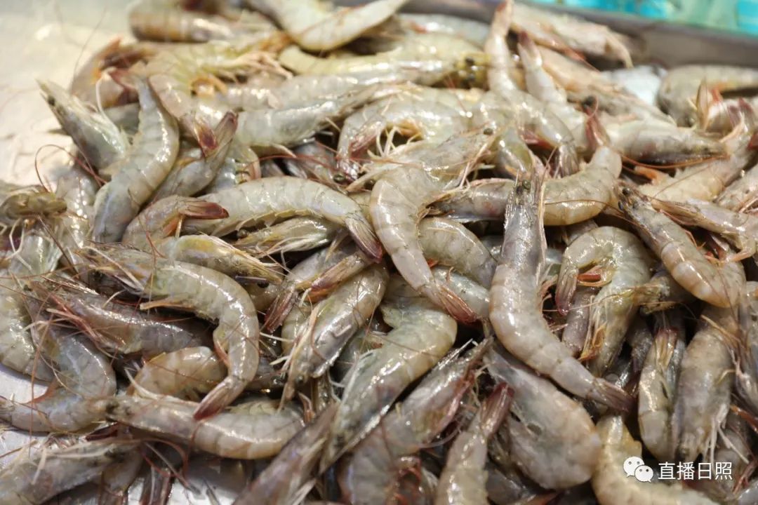 封海倒计时威海海鲜涨价了吗,封海前后海鲜价格对比