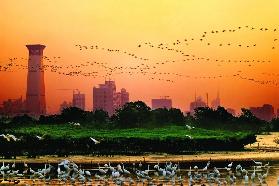 福田未来重点项目,深圳福田区重点项目