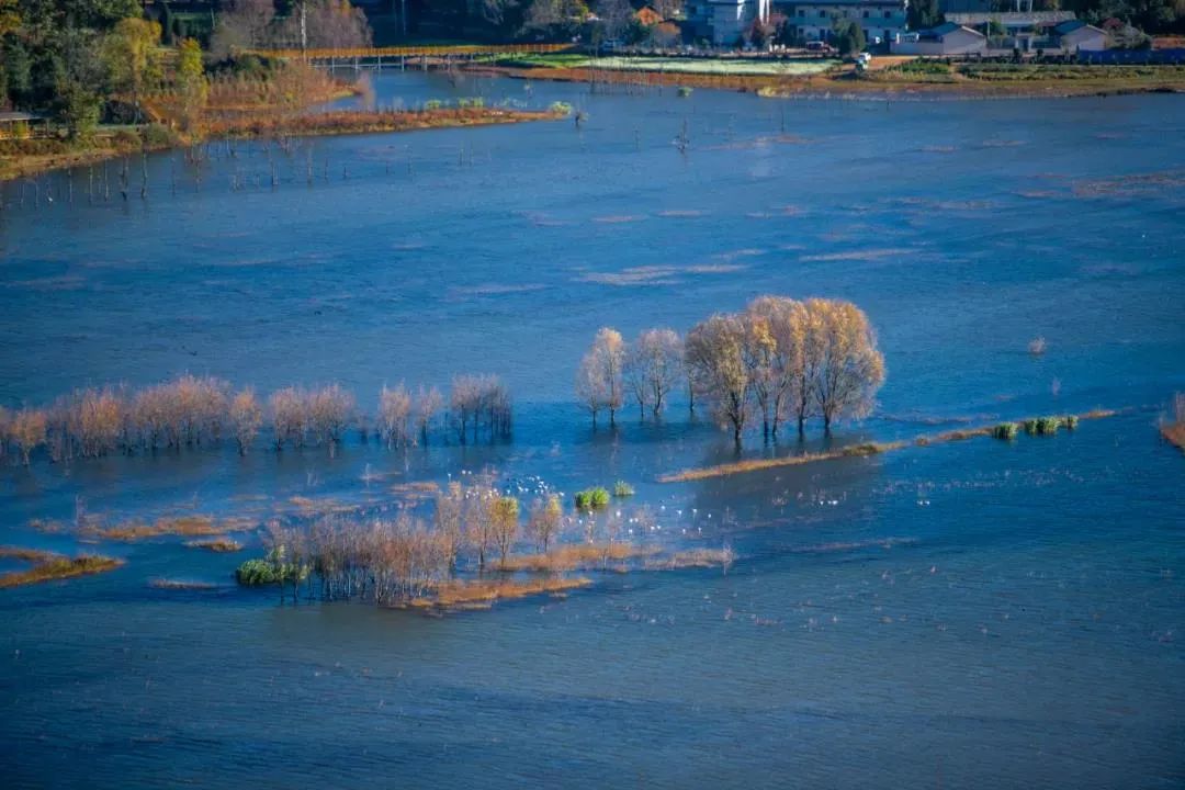 昆明七彩云南怎么样,七彩云南避暑家园