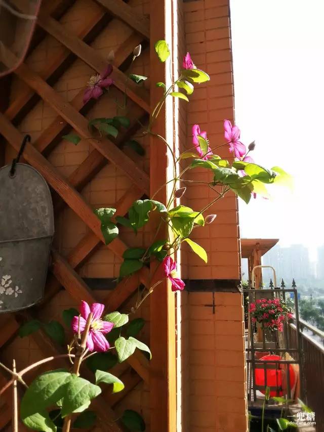 从装饰着手让家里更加温馨,从硬装开始打造家的高级感