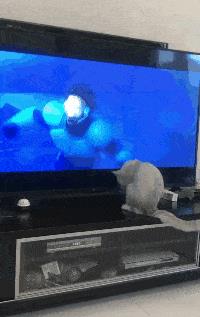 塞进去容易拔出来难,妹子着急死了哈哈哈哈哈哈！真的尴尬啊