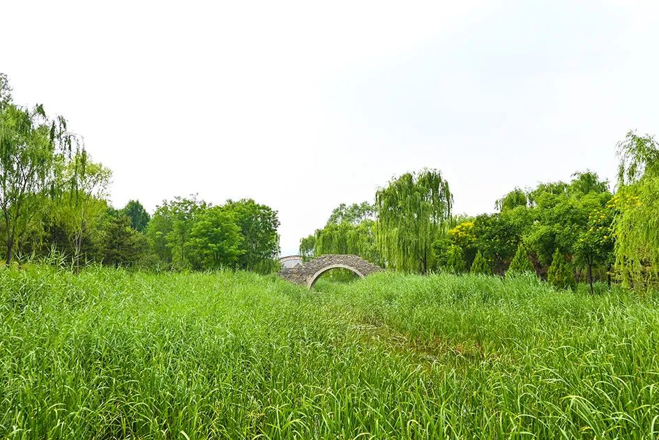 北京免费景美公园大全,北京这个公园也很美