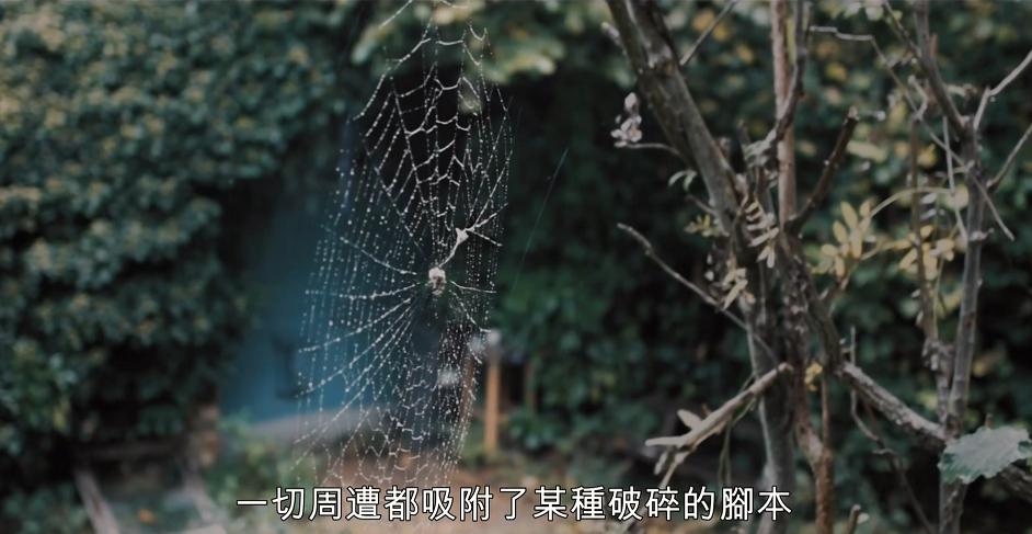 人应该怎样生活才更有意思,生活应该有的样子