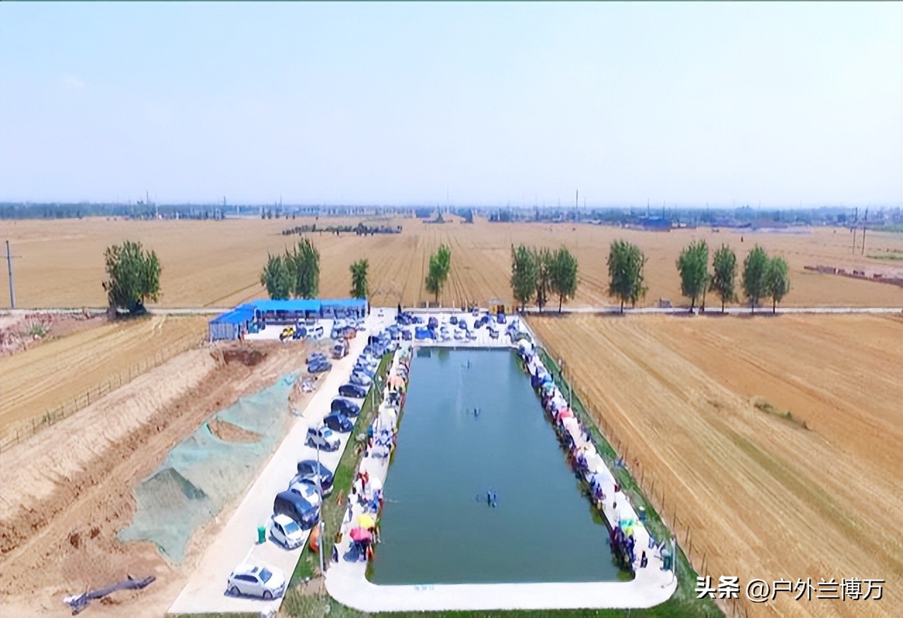 黑坑停业公告,停播整改中是什么原因