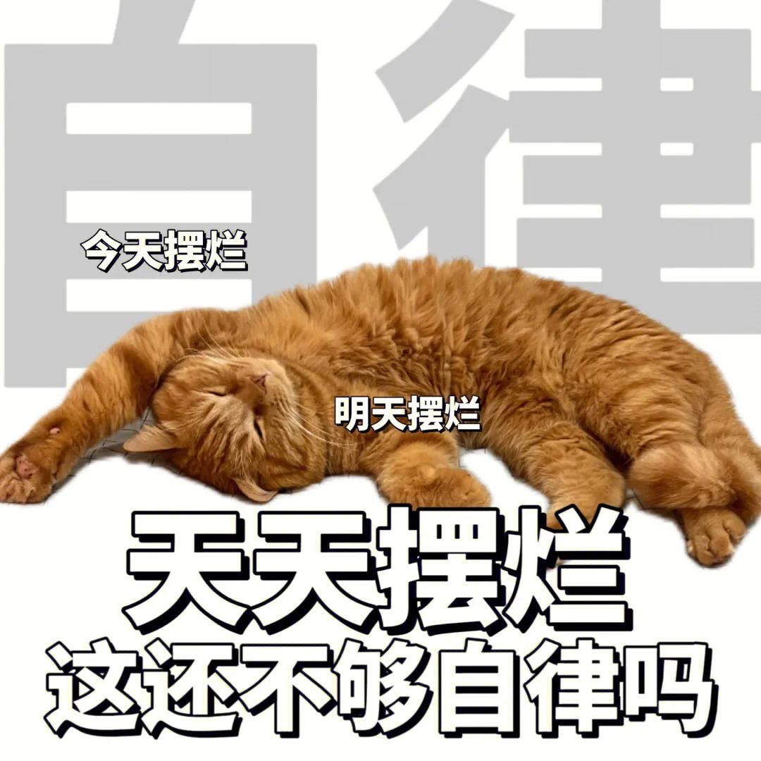 睡醒要上班下班要睡觉表情包,上班下班两副面孔表情包