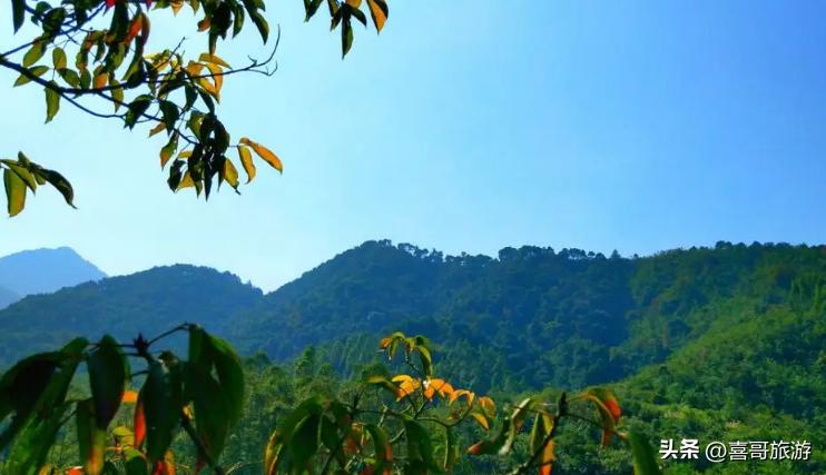 五一上林县自驾游最佳路线,上林县自驾游旅游景点